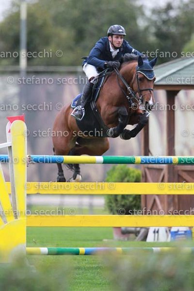 TAZZI_JACARAN_GIO CAV 2011_(157) SS3_9896.jpg